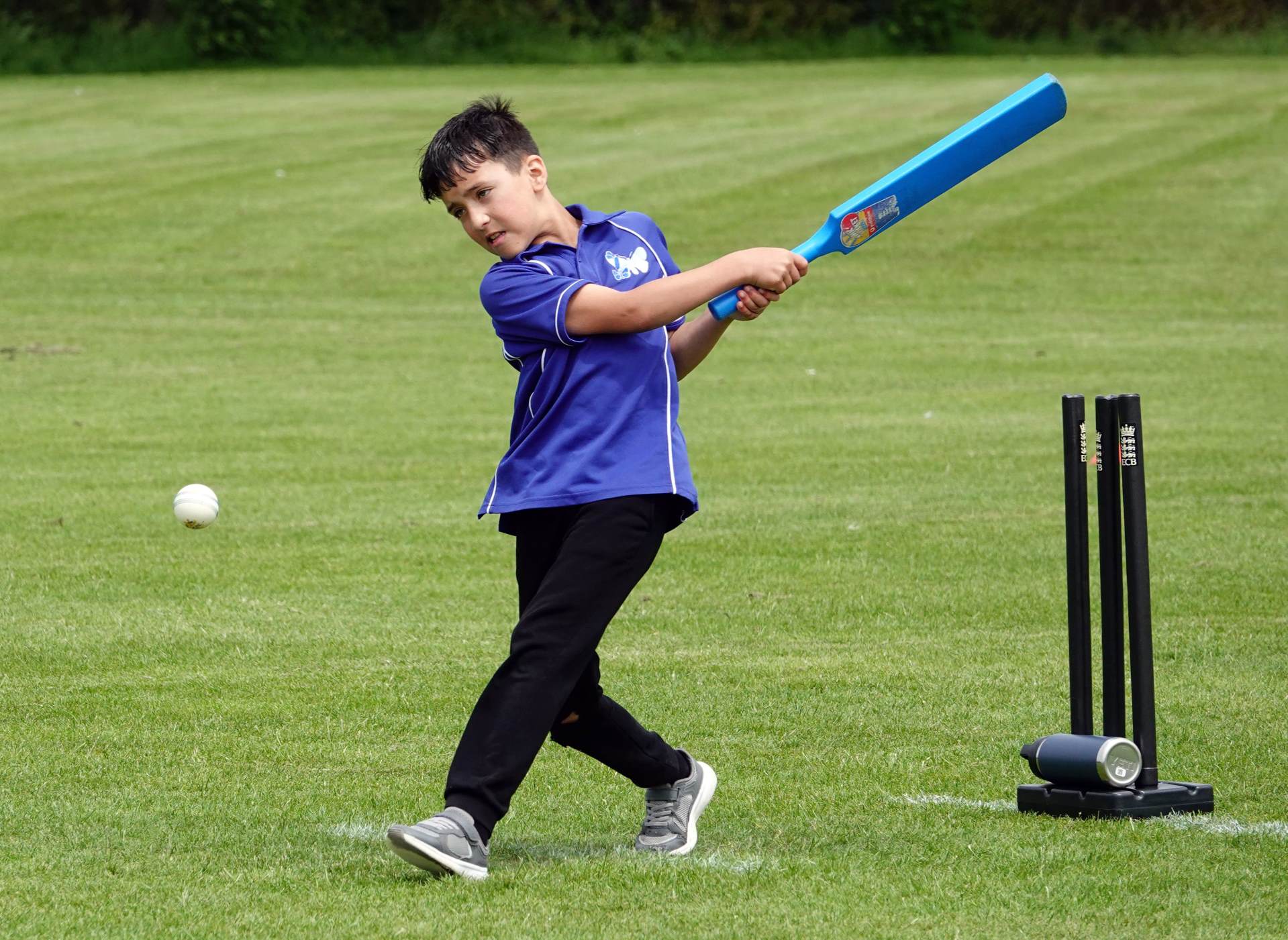 A Crackin' Day of Cricket!
