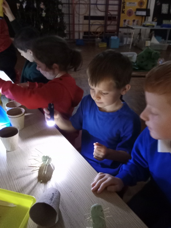 We are mini professors!