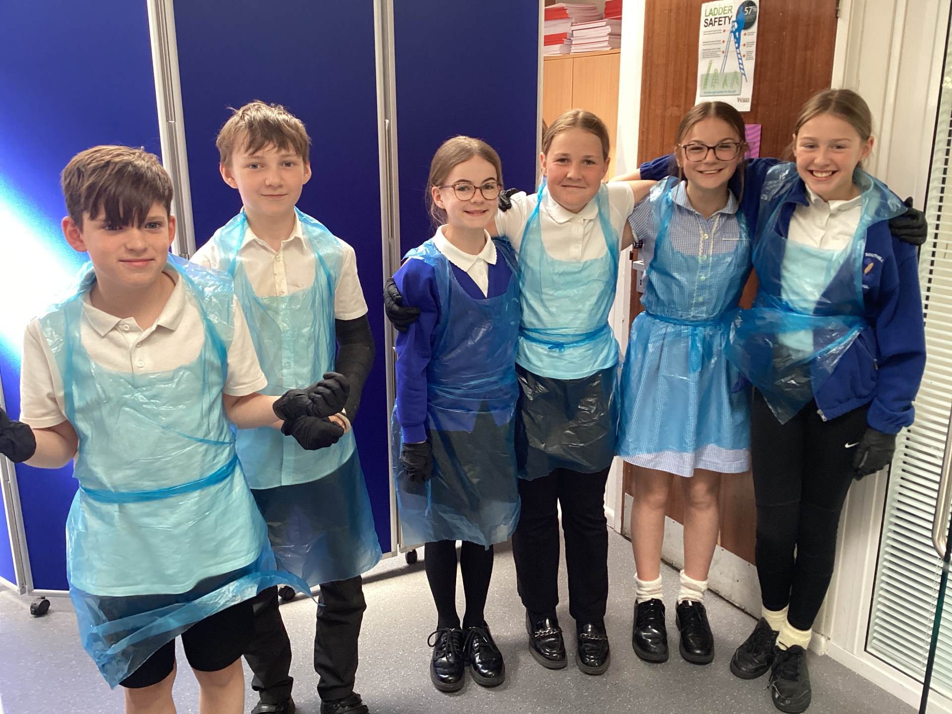 Y6: We Heart Biology!